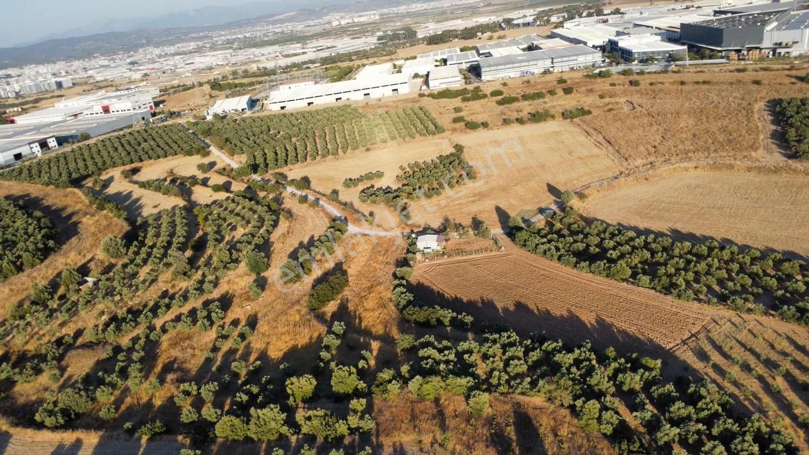 Remax Arma'dan Bulgurca Mah Acil Satılık 7540m2 Tarla - Görsel 35