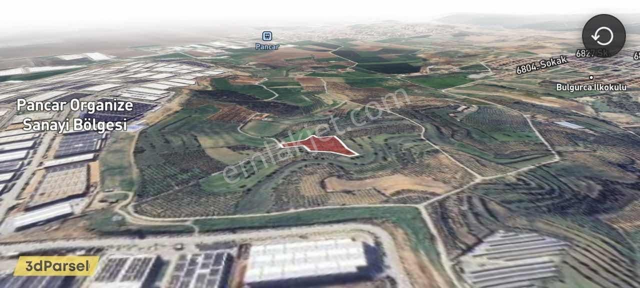Remax Arma'dan Bulgurca Mah Acil Satılık 7540m2 Tarla - Görsel 5