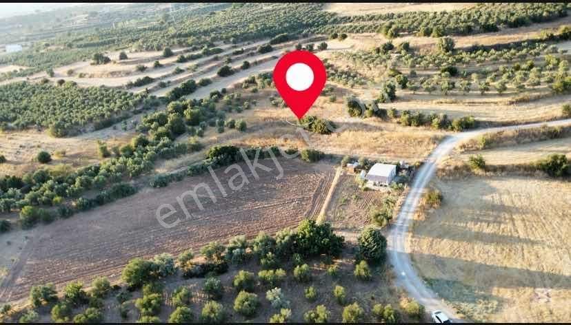 Remax Arma'dan Bulgurca Mah Acil Satılık 7540m2 Tarla