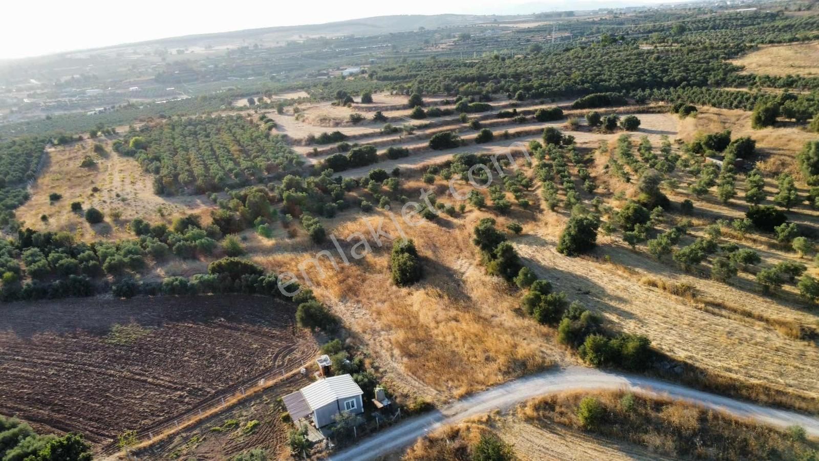 Remax Arma'dan Bulgurca Mah Acil Satılık 7540m2 Tarla - Görsel 25