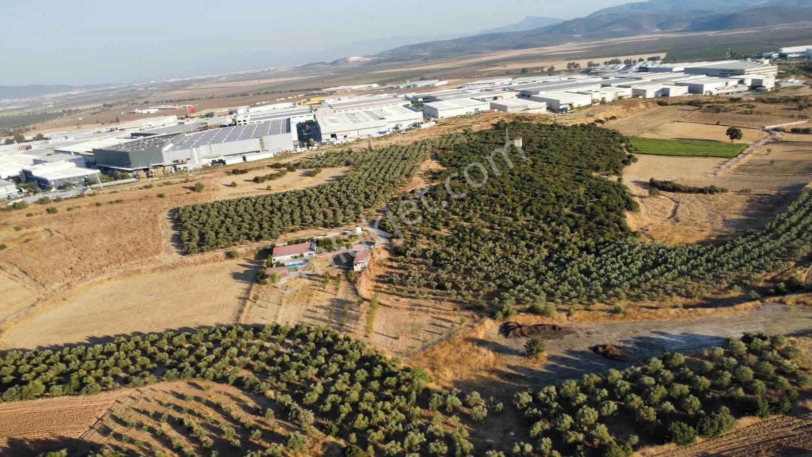 Remax Arma'dan Bulgurca Mah Acil Satılık 7540m2 Tarla - Görsel 10