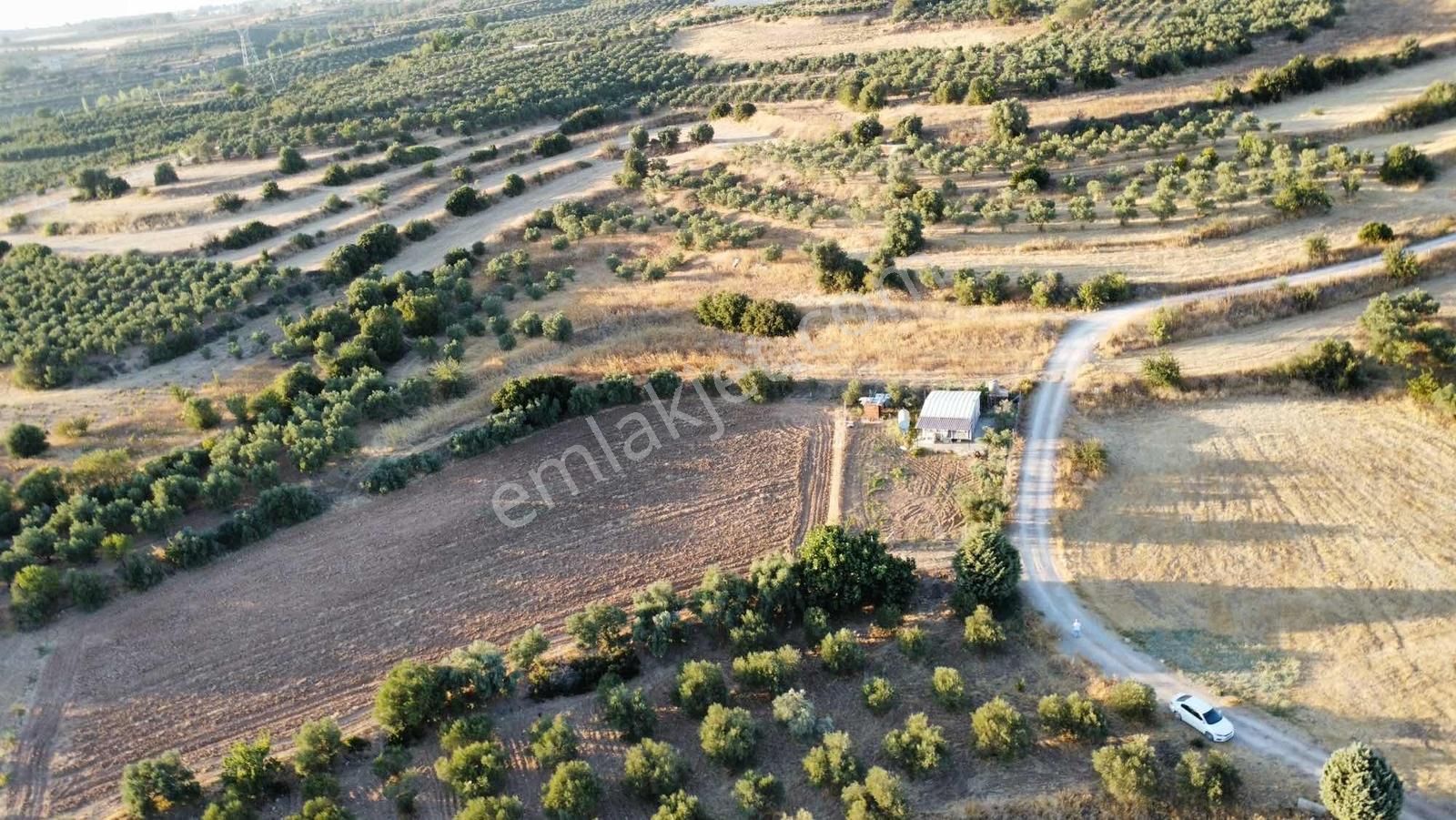 Remax Arma'dan Bulgurca Mah Acil Satılık 7540m2 Tarla - Görsel 27