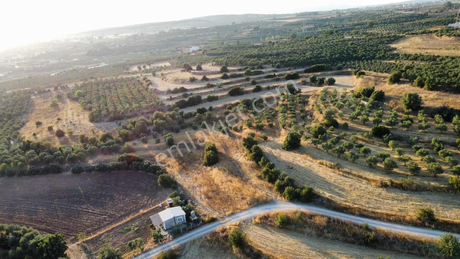 Remax Arma'dan Bulgurca Mah Acil Satılık 7540m2 Tarla - Görsel 8