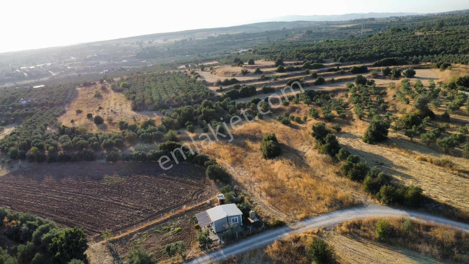 Remax Arma'dan Bulgurca Mah Acil Satılık 7540m2 Tarla - Görsel 17