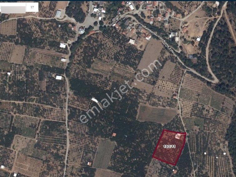 İzmır Kemalpaşa Kamberlerde Satılık Kıraz Bahçesi - Görsel 2