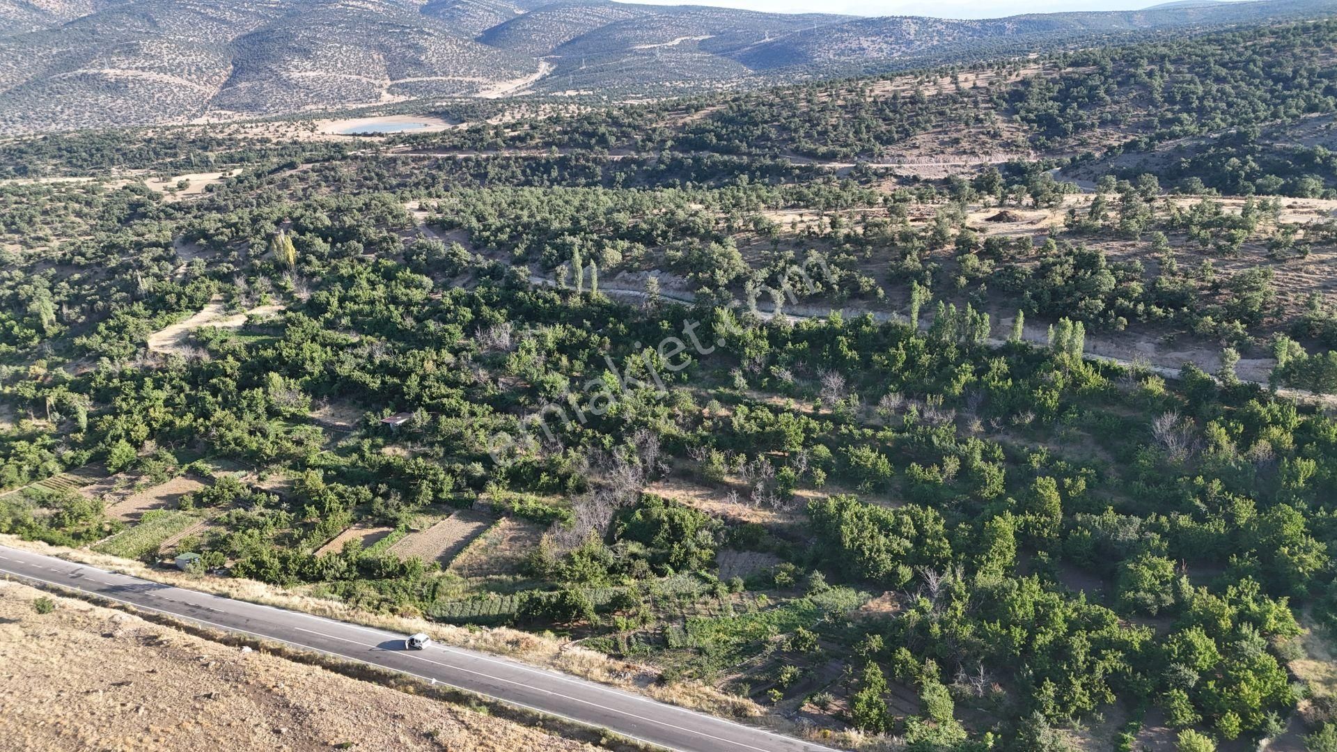Meram Çukurçimen De 371 M2 Müstakil Tapulu Sulanabilir Bahçe - Görsel 7
