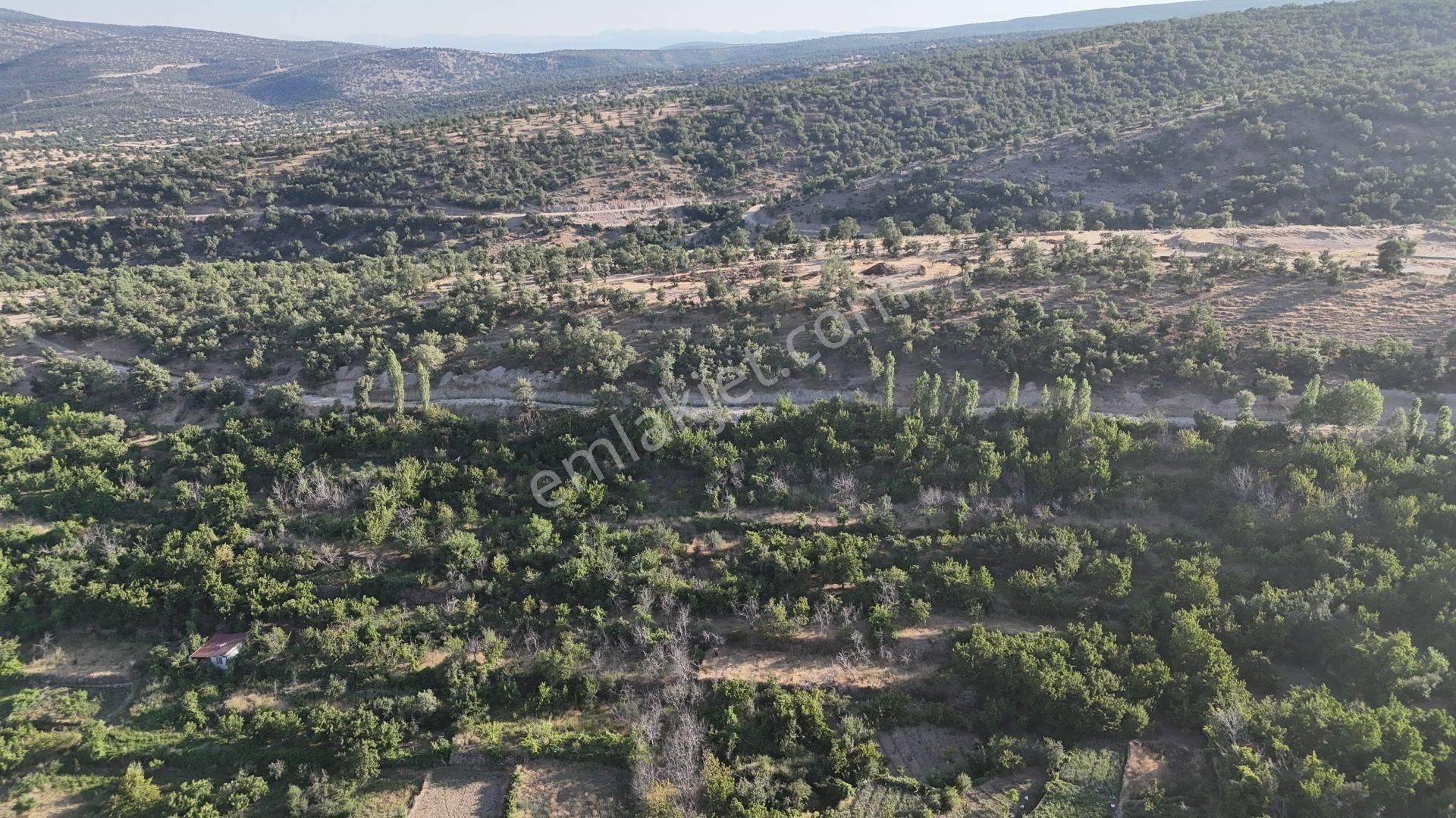 Meram Çukurçimen De 371 M2 Müstakil Tapulu Sulanabilir Bahçe - Görsel 6