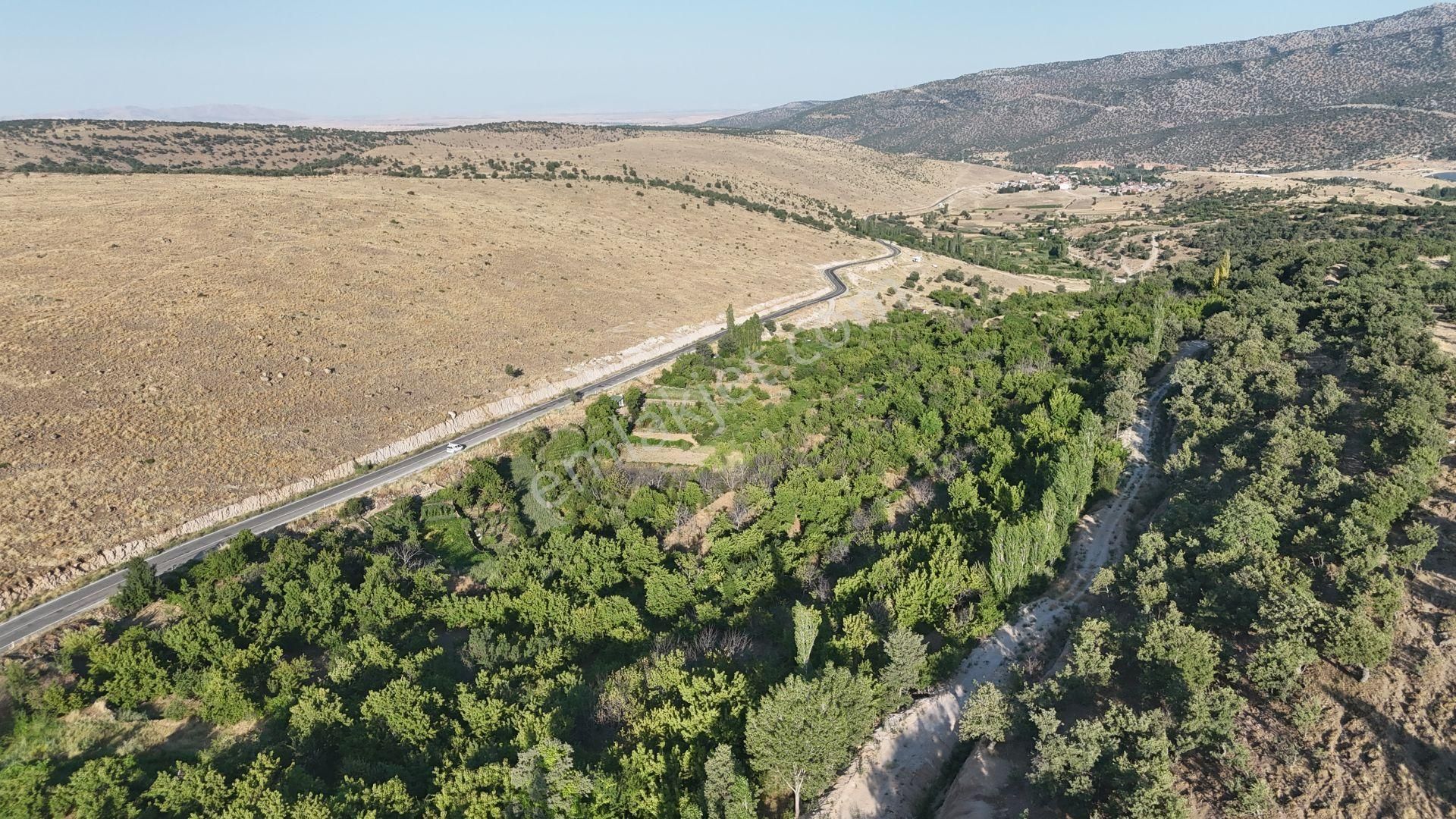 Meram Çukurçimen De 371 M2 Müstakil Tapulu Sulanabilir Bahçe
