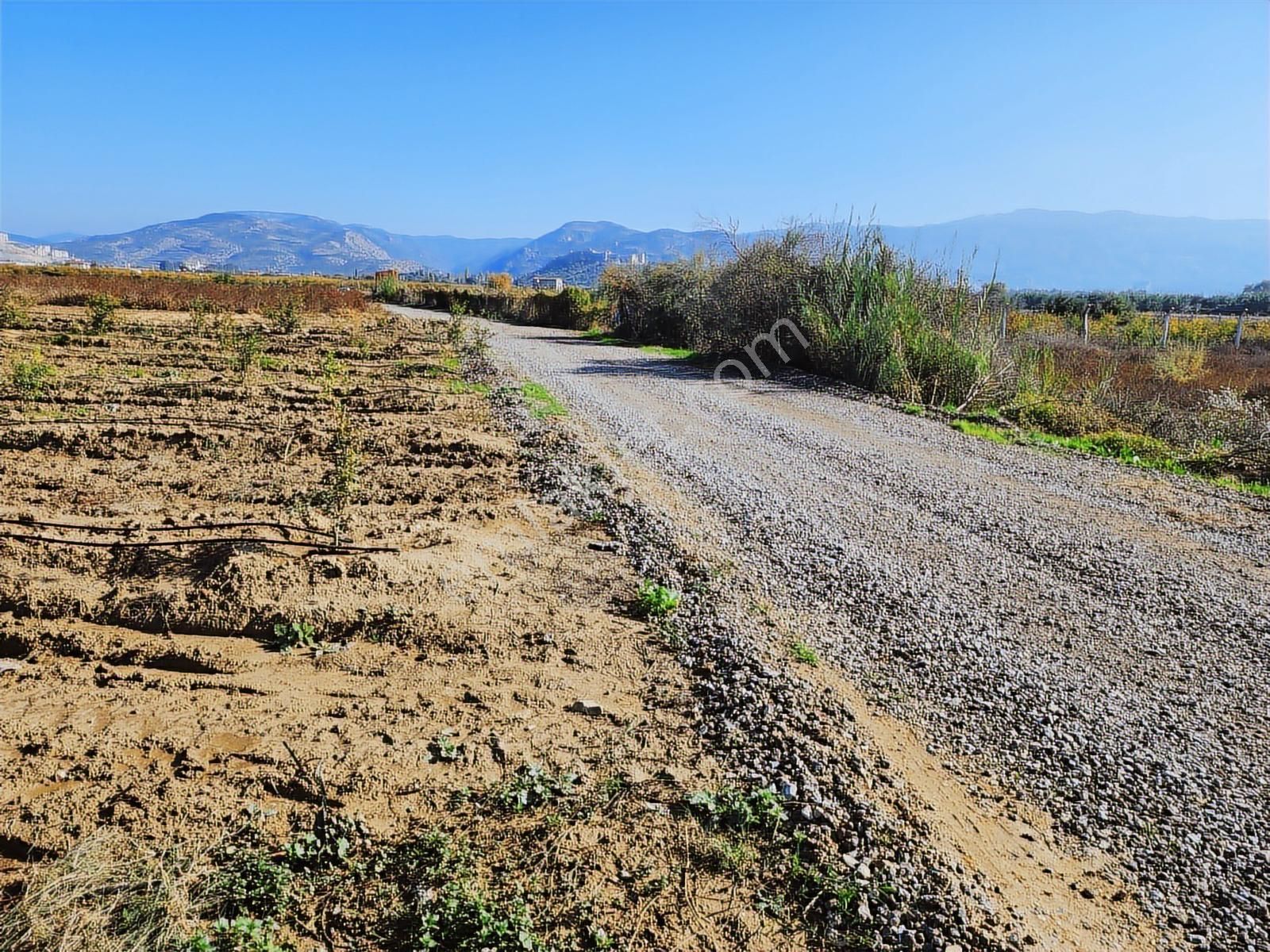 Remax Armadan İzmir Selçuk İsabey De Müstakil Parsel Tarla - Görsel 12