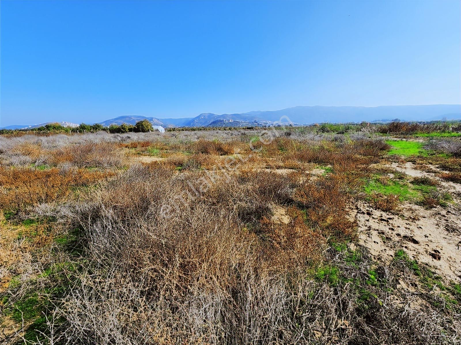 Remax Armadan İzmir Selçuk İsabey De Müstakil Parsel Tarla - Görsel 11