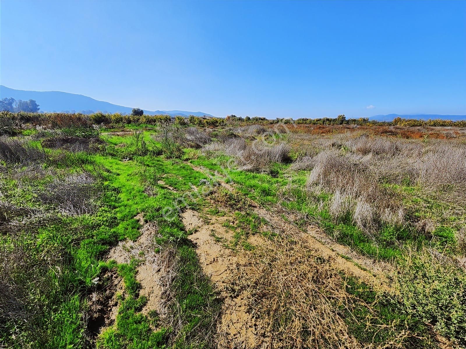 Remax Armadan İzmir Selçuk İsabey De Müstakil Parsel Tarla - Görsel 14