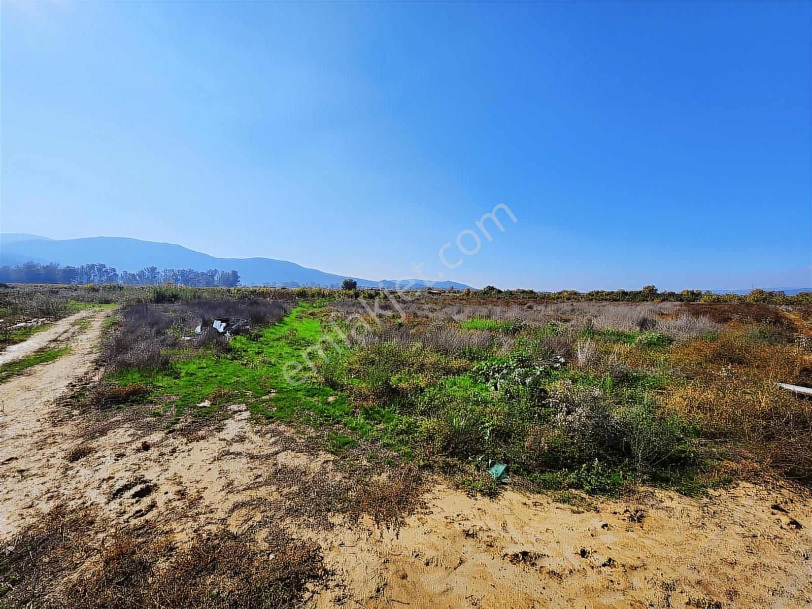 Remax Armadan İzmir Selçuk İsabey De Müstakil Parsel Tarla - Görsel 18