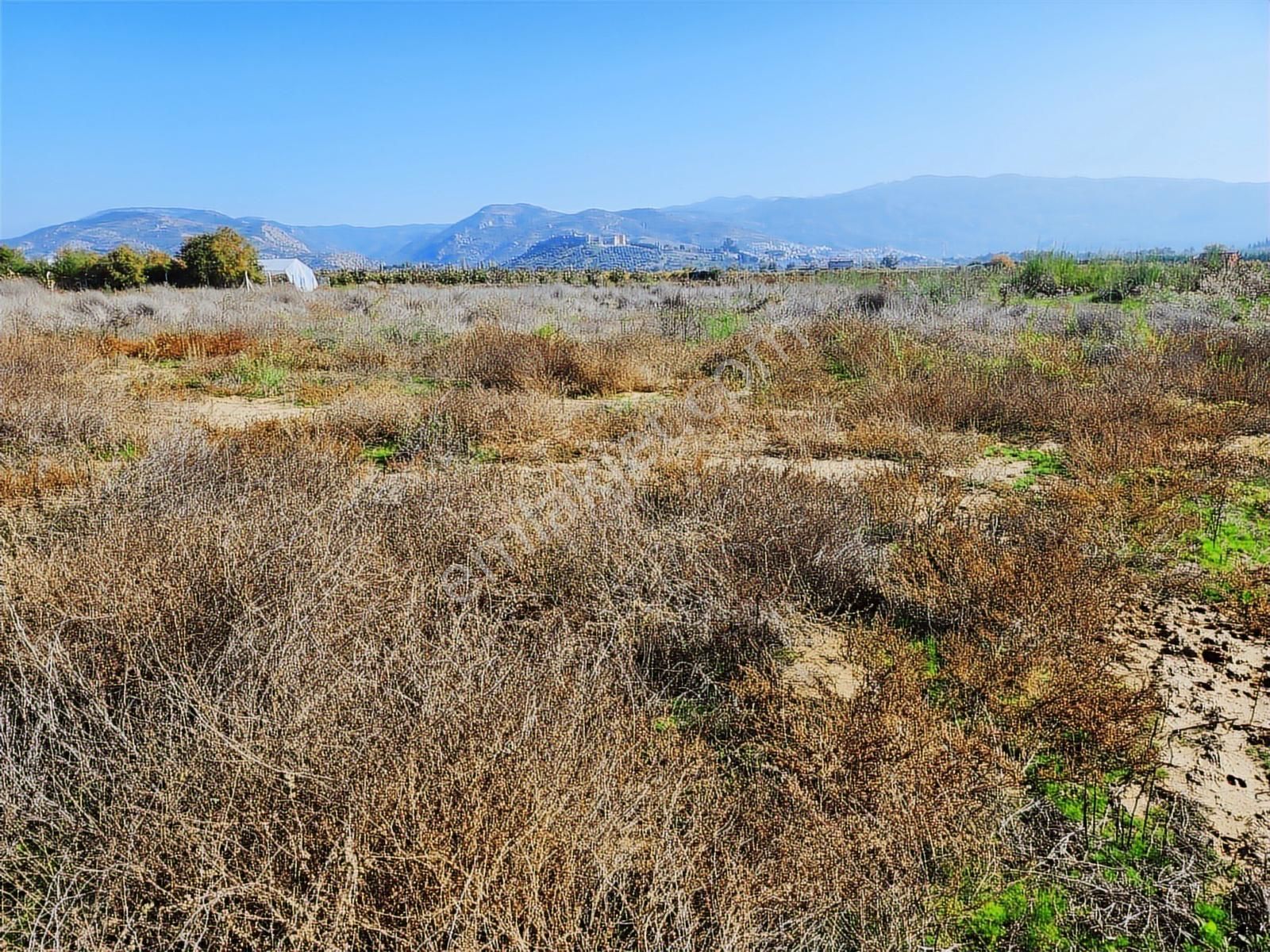 Remax Armadan İzmir Selçuk İsabey De Müstakil Parsel Tarla - Görsel 4