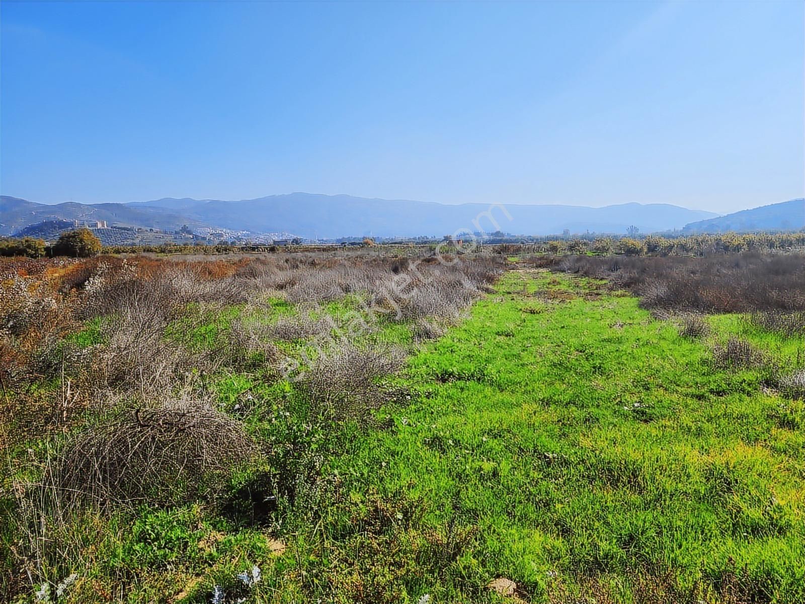 Remax Armadan İzmir Selçuk İsabey De Müstakil Parsel Tarla