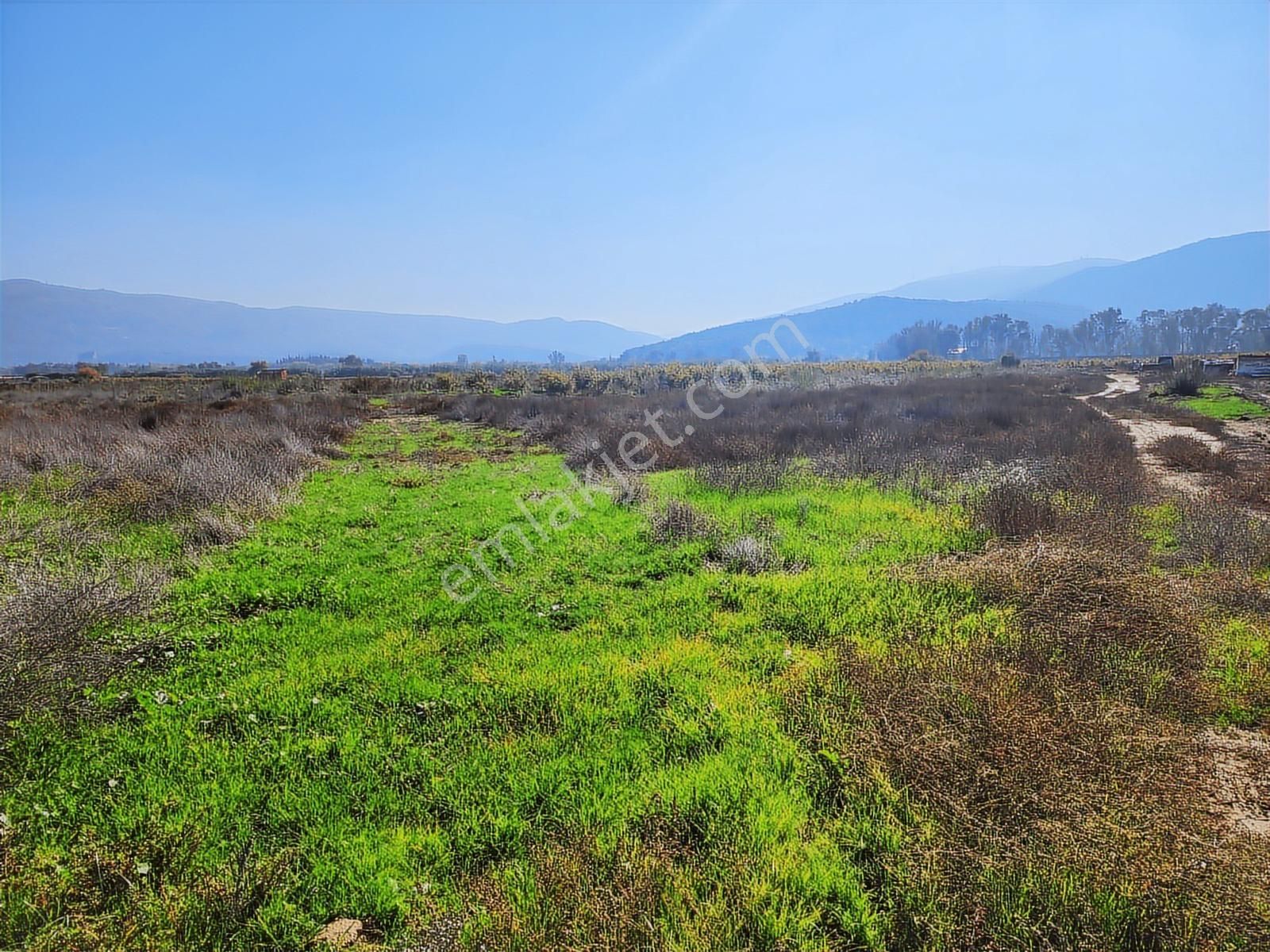Remax Armadan İzmir Selçuk İsabey De Müstakil Parsel Tarla - Görsel 9