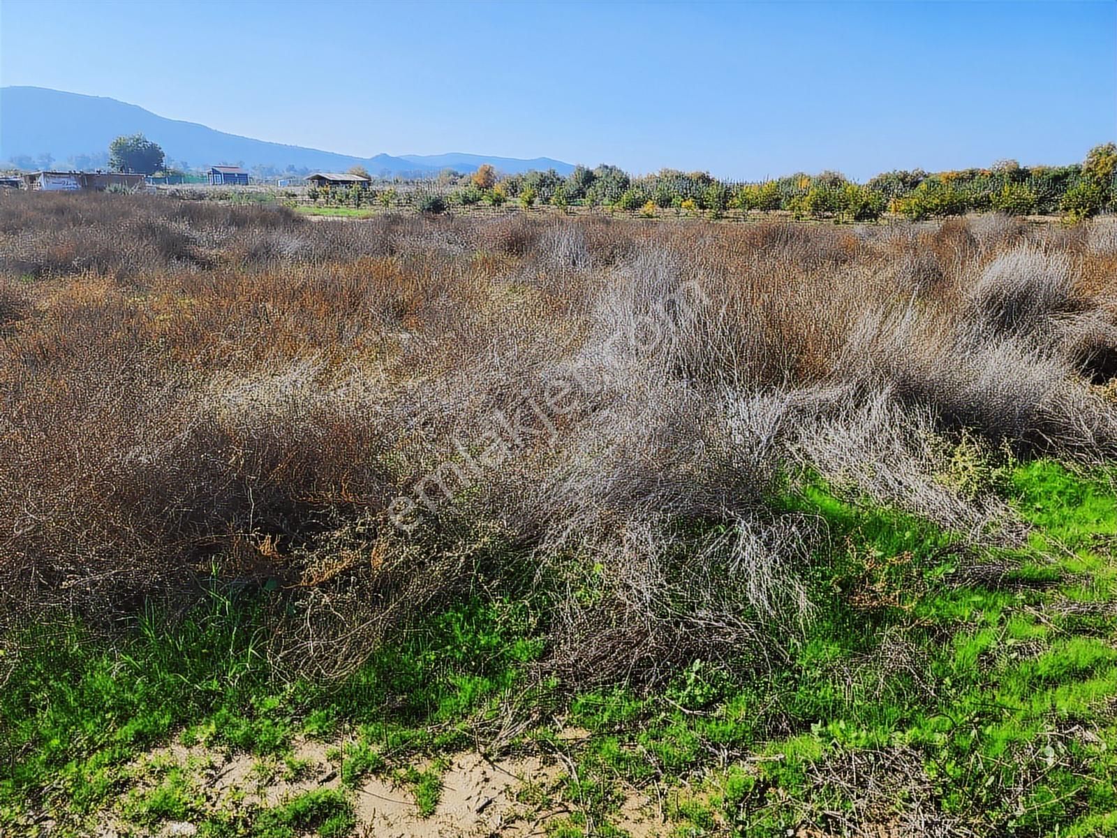 Remax Armadan İzmir Selçuk İsabey De Müstakil Parsel Tarla - Görsel 10