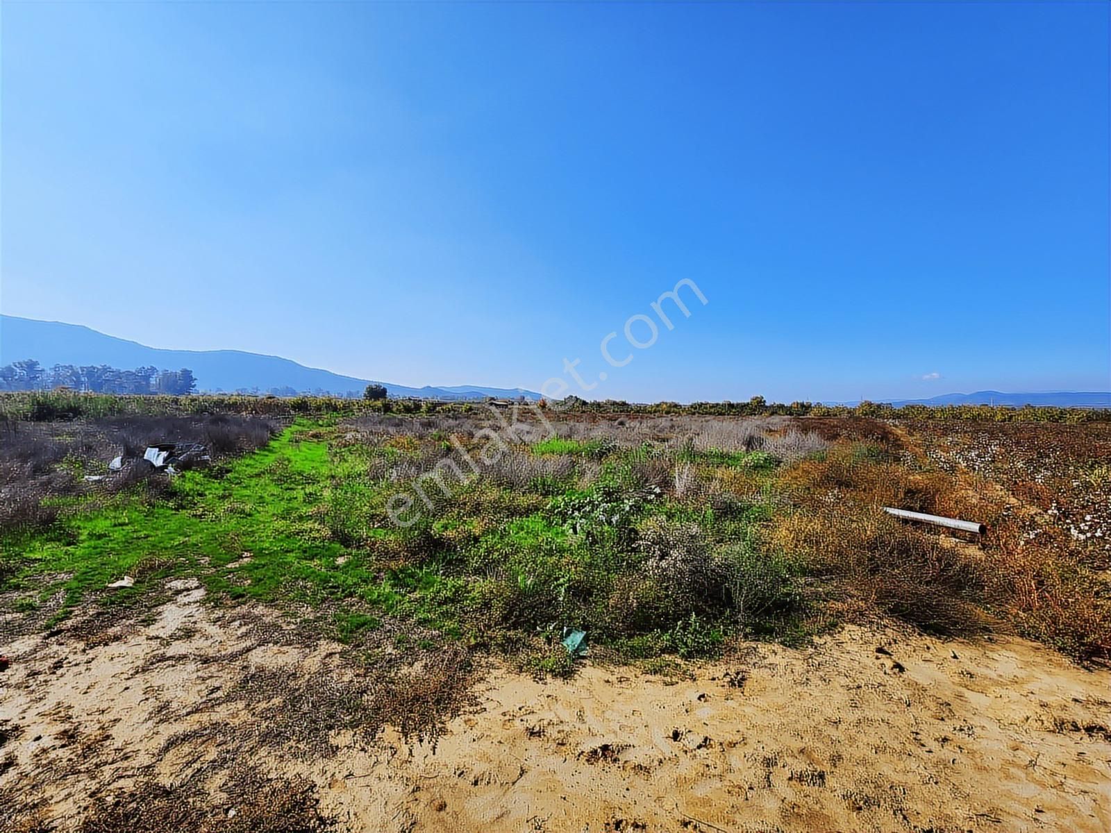 Remax Armadan İzmir Selçuk İsabey De Müstakil Parsel Tarla - Görsel 16