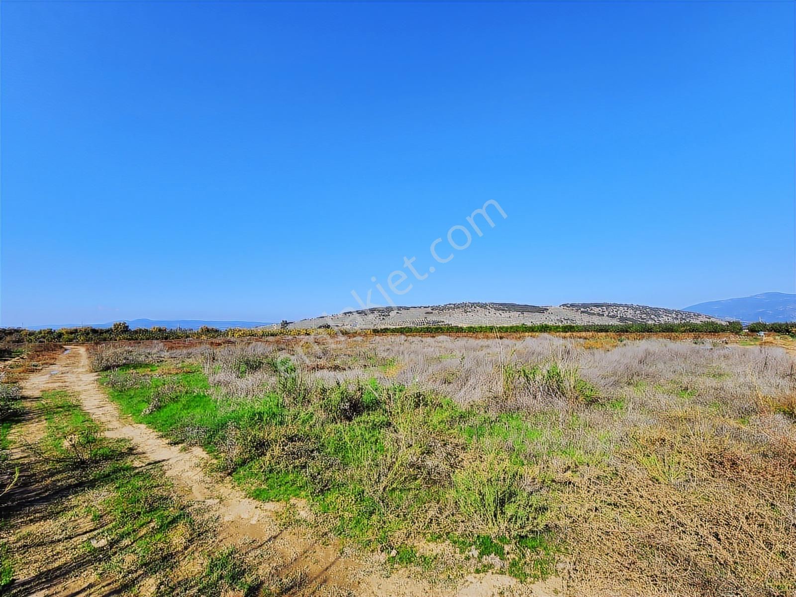 Remax Armadan İzmir Selçuk İsabey De Müstakil Parsel Tarla - Görsel 5