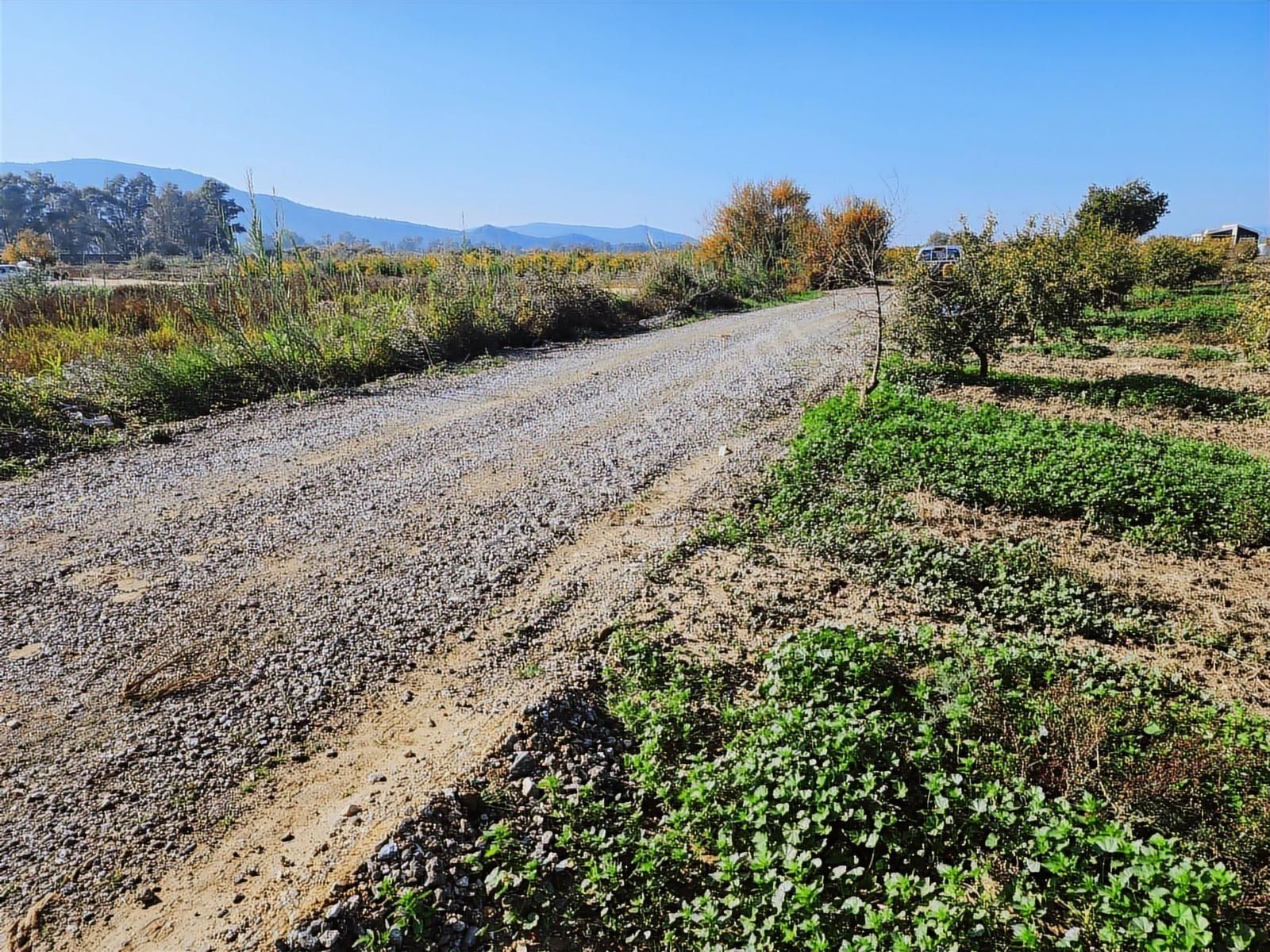 Remax Armadan İzmir Selçuk İsabey De Müstakil Parsel Tarla - Görsel 7