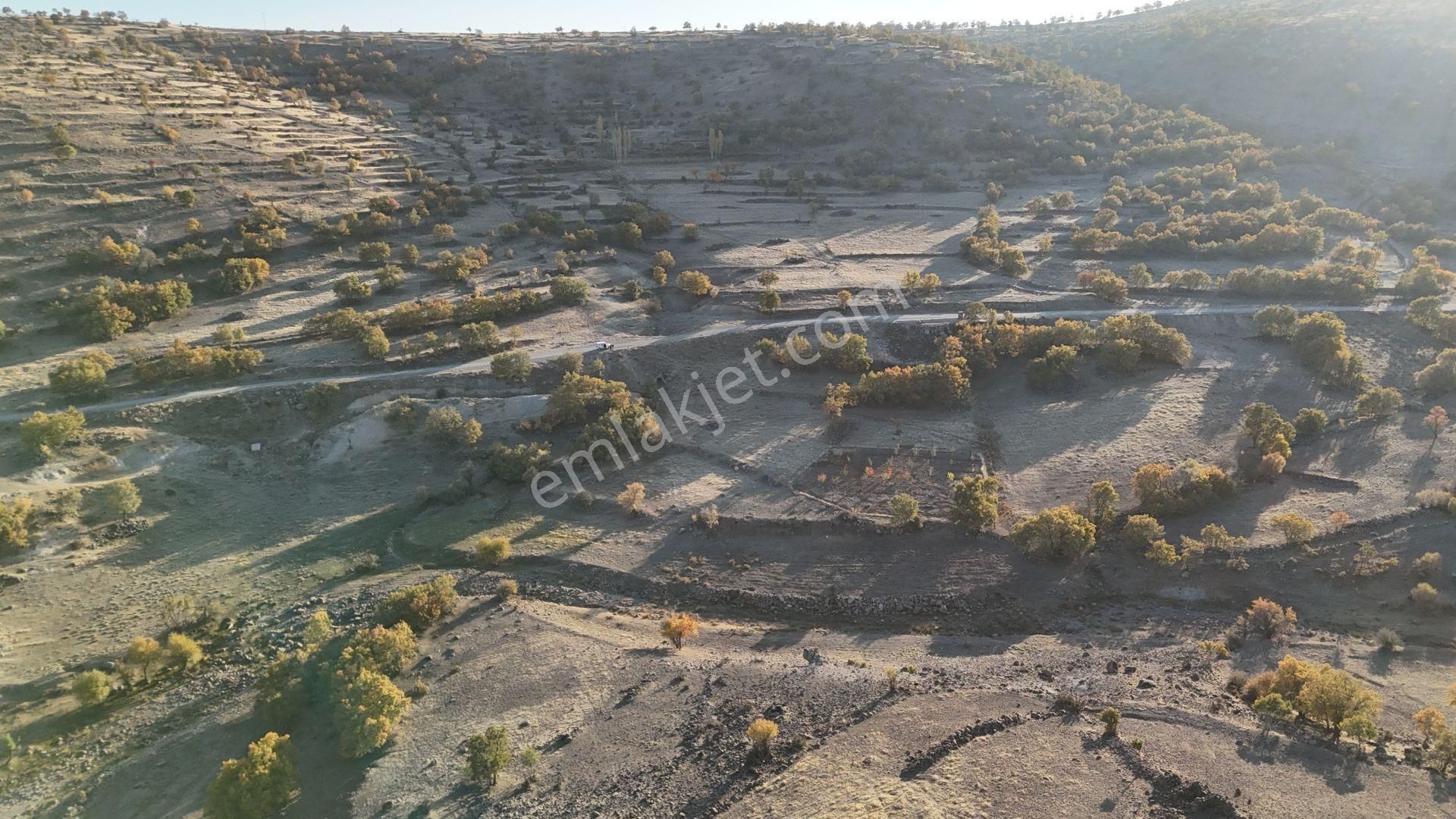 Konya / Meram / Yeşil Tekke Mahallesinde 1.035 M² Müstakil Tapulu Tarla - Görsel 7