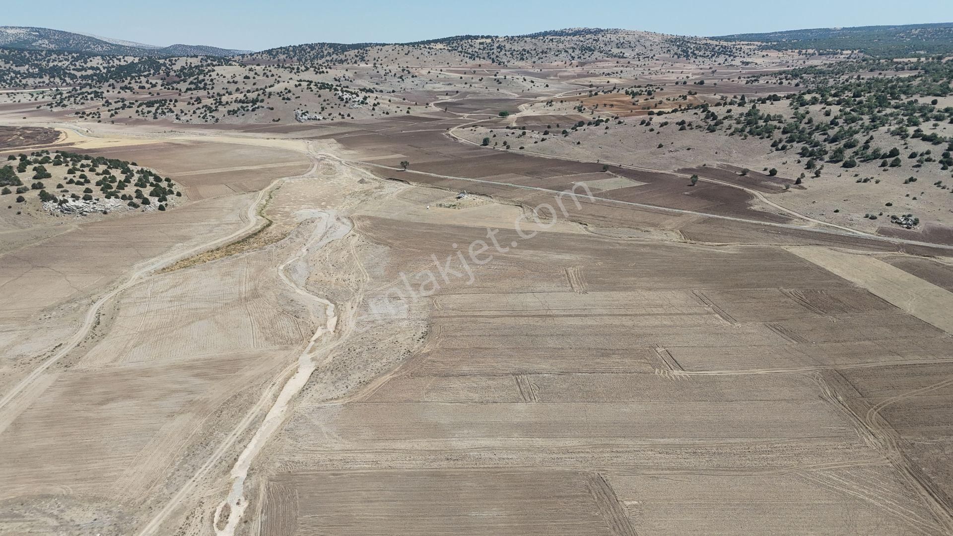Konya / Meram / Kilistra Mahallesinde 1.321 M² Müstakil Tapulu Tarla - Görsel 2