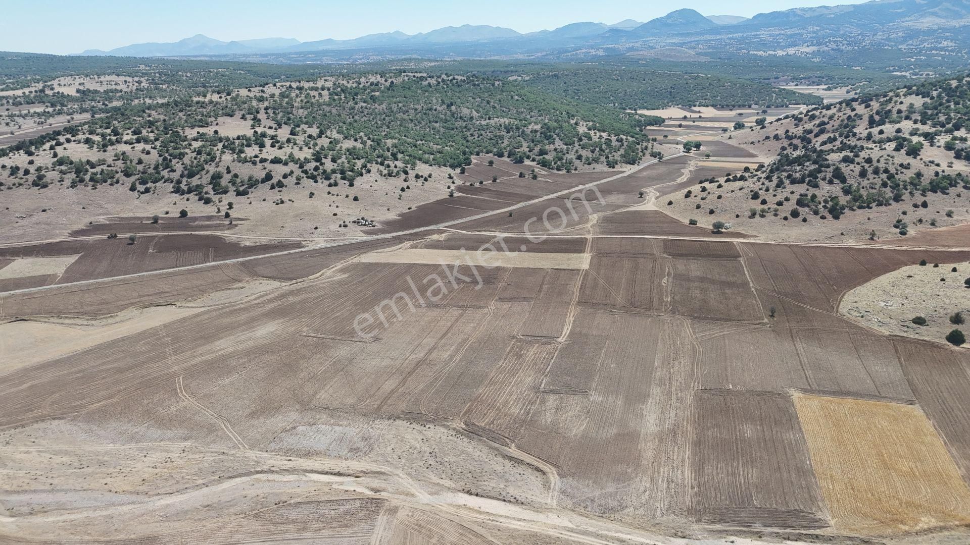 Konya / Meram / Kilistra Mahallesinde 1.321 M² Müstakil Tapulu Tarla - Görsel 6
