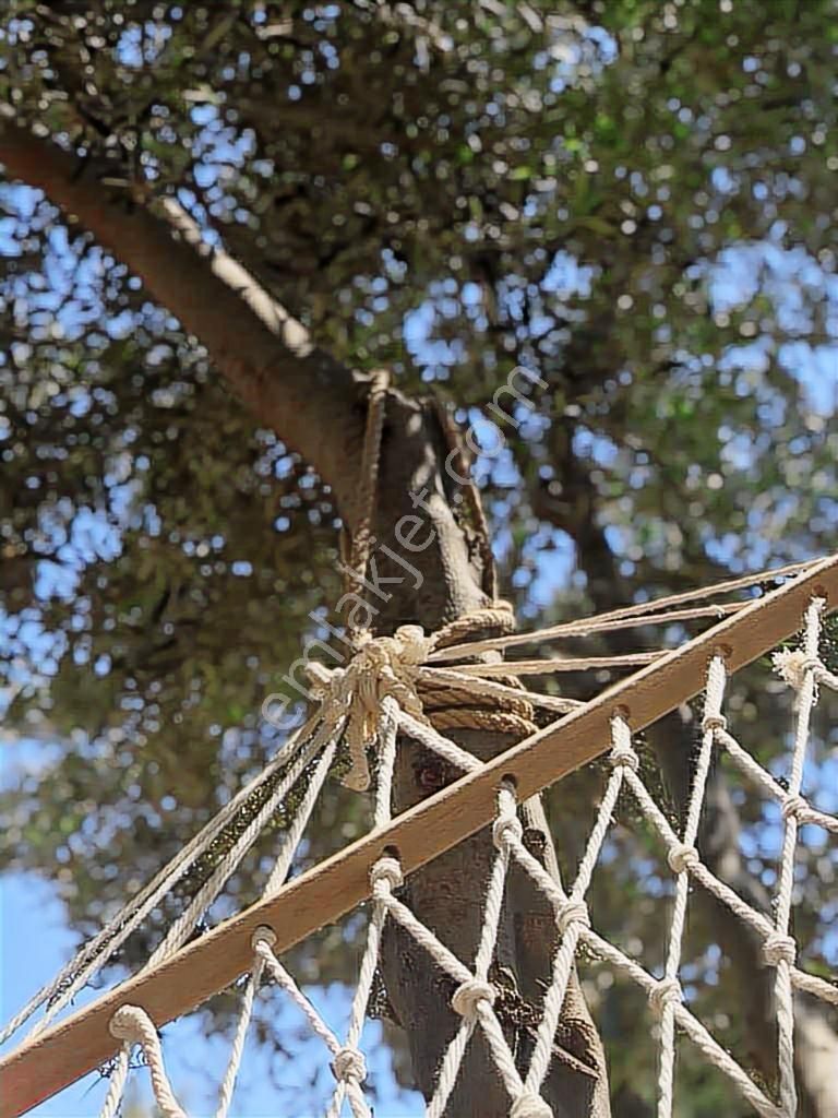 Seferıhısar Sığacık'ta Havuzlu Ve Bahçelı Gırış Kat - Görsel 3