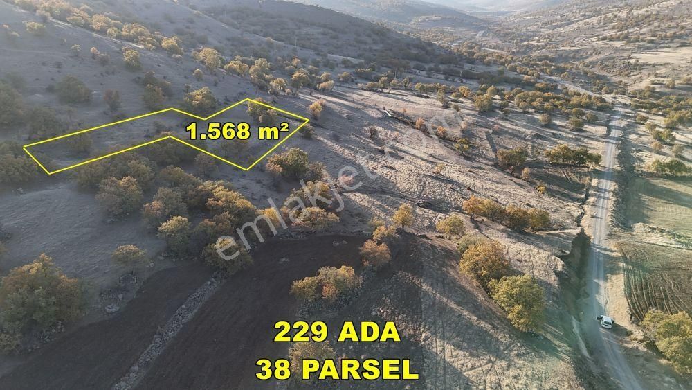 Konya / Meram / Yeşil Tekke Mahallesinde 1.568 M² Müstakil Tapulu Tarla - Görsel 6