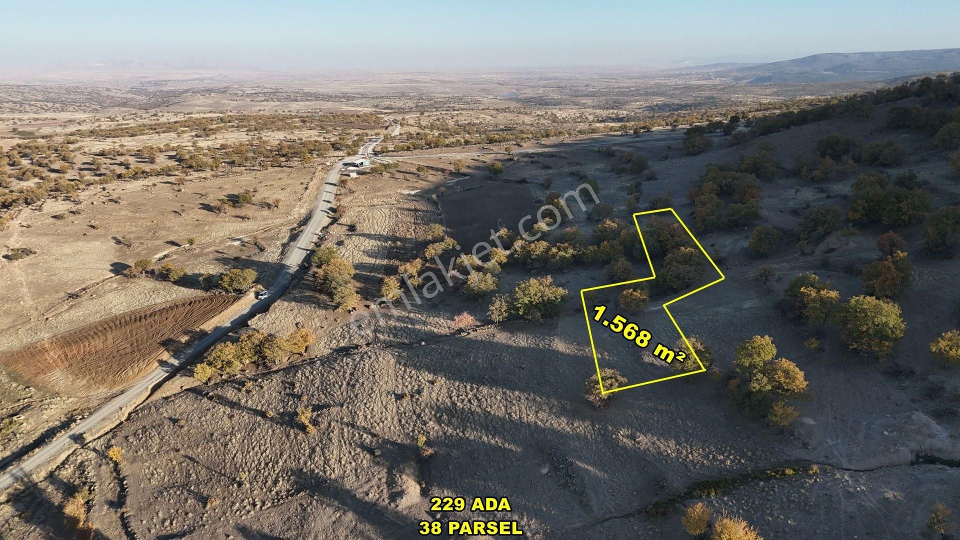Konya / Meram / Yeşil Tekke Mahallesinde 1.568 M² Müstakil Tapulu Tarla - Görsel 2
