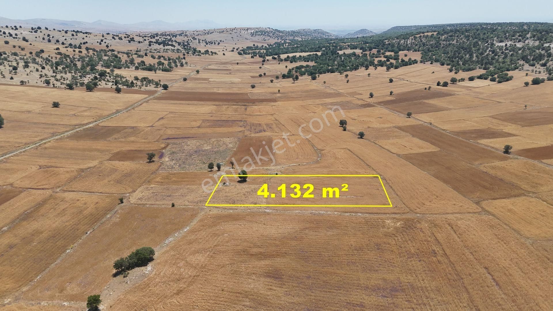 Konya / Meram / Kilistra Mahallesinde 4.132 M² Müstakil Tapulu Tarla - Görsel 4