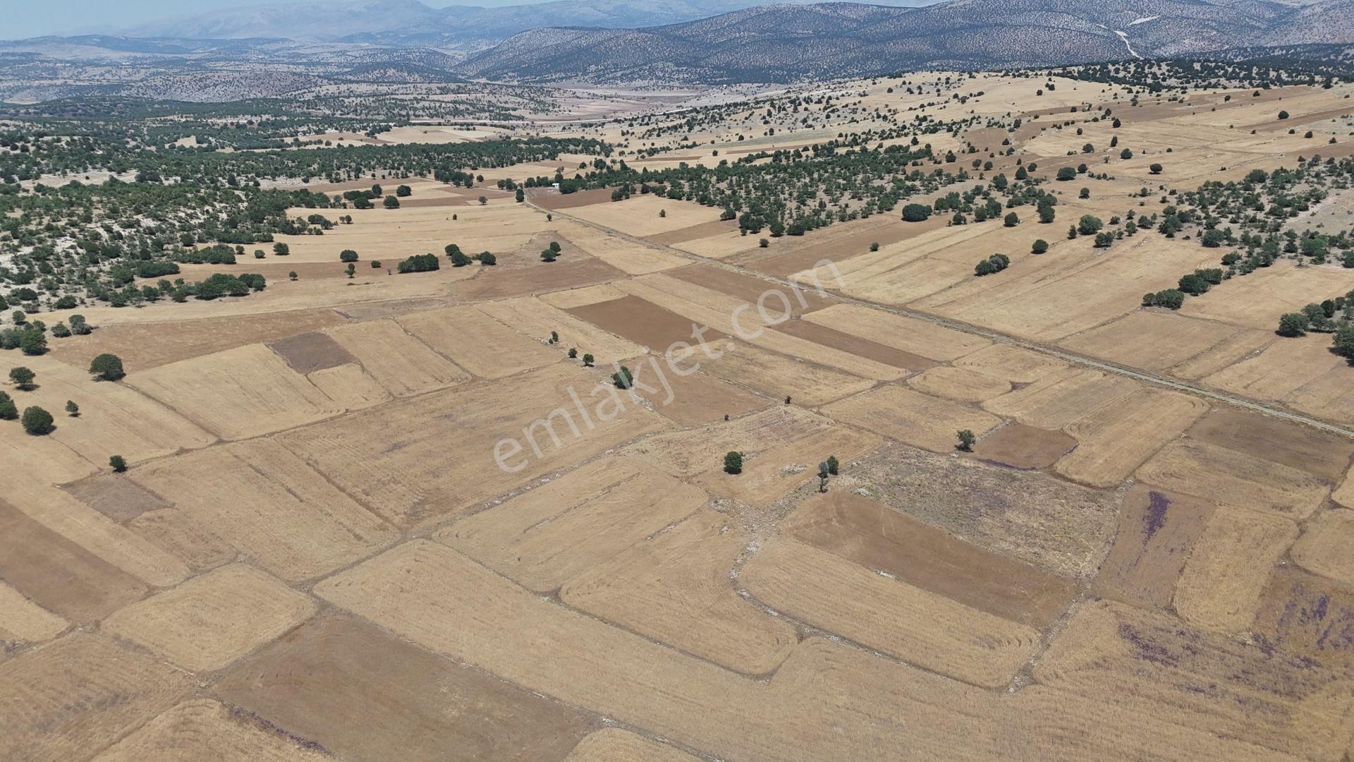 Konya / Meram / Kilistra Mahallesinde 4.132 M² Müstakil Tapulu Tarla - Görsel 11