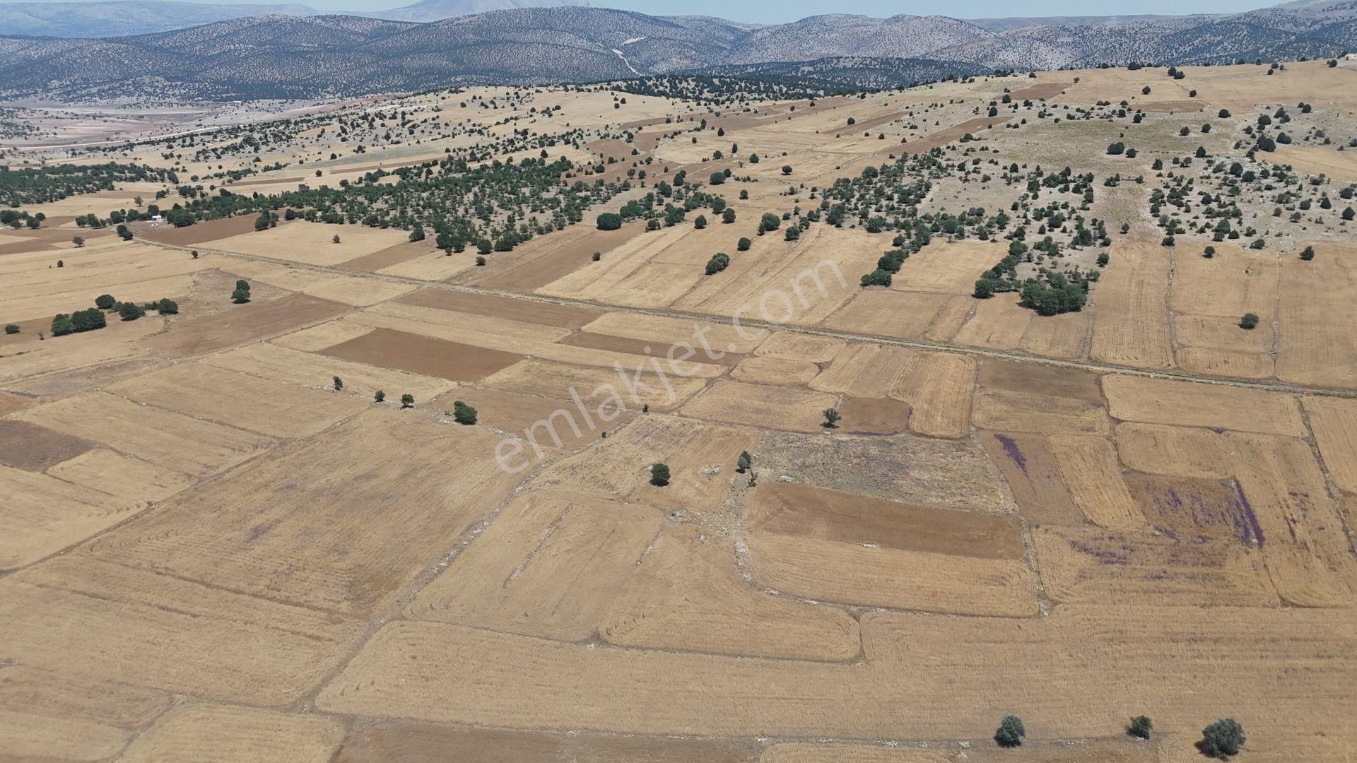 Konya / Meram / Kilistra Mahallesinde 4.132 M² Müstakil Tapulu Tarla - Görsel 7