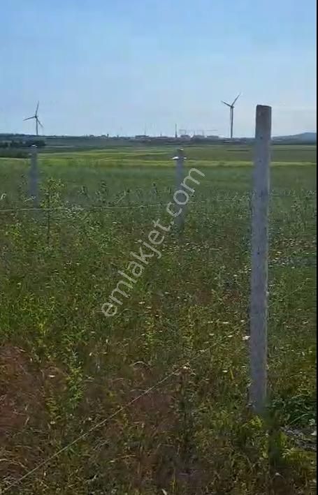Azmir'den Satılık Silivri Alipaşada 270 M2 Yatırımlık Tarla - Görsel 12