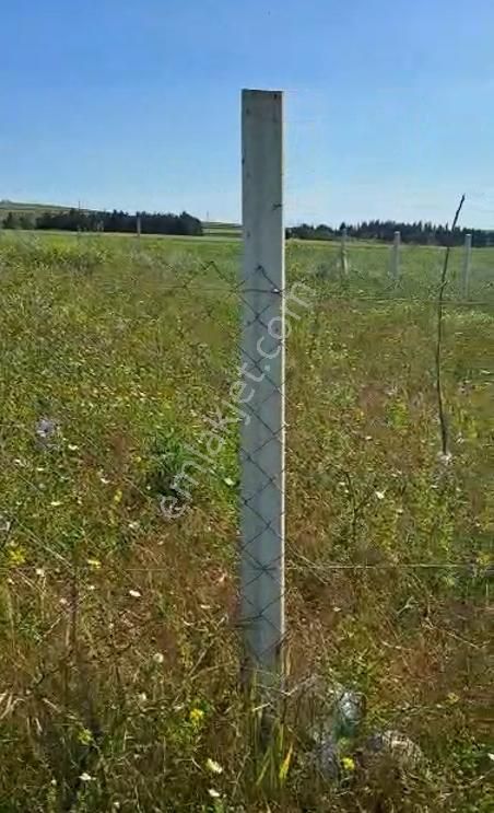 Azmir'den Satılık Silivri Alipaşada 270 M2 Yatırımlık Tarla - Görsel 11