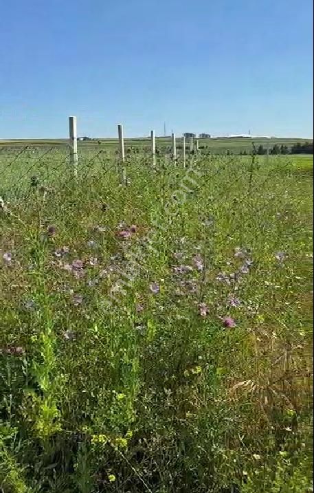 Azmir'den Satılık Silivri Alipaşada 270 M2 Yatırımlık Tarla - Görsel 10