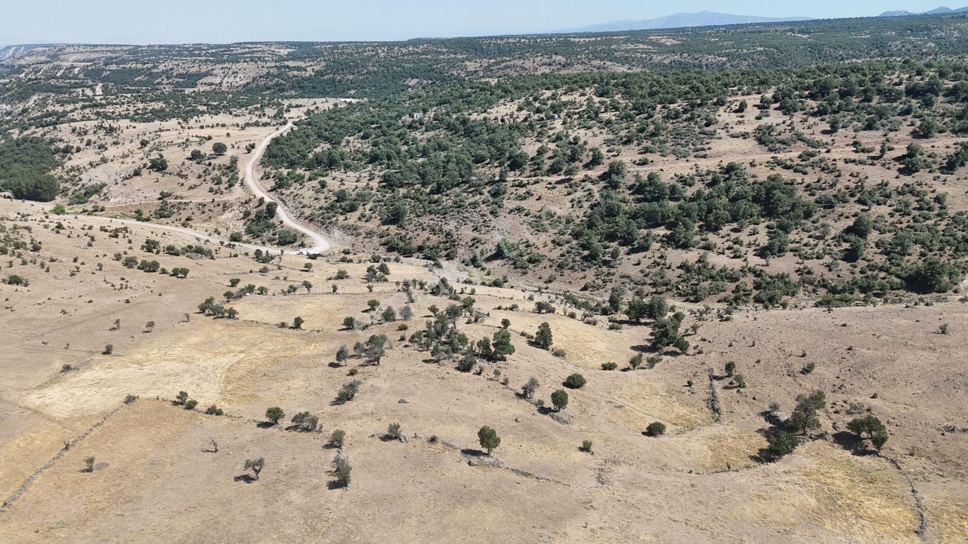 Konya / Meram / Kilistra Mahallesinde 640 M² Müstakil Tapulu Tarla - Görsel 2
