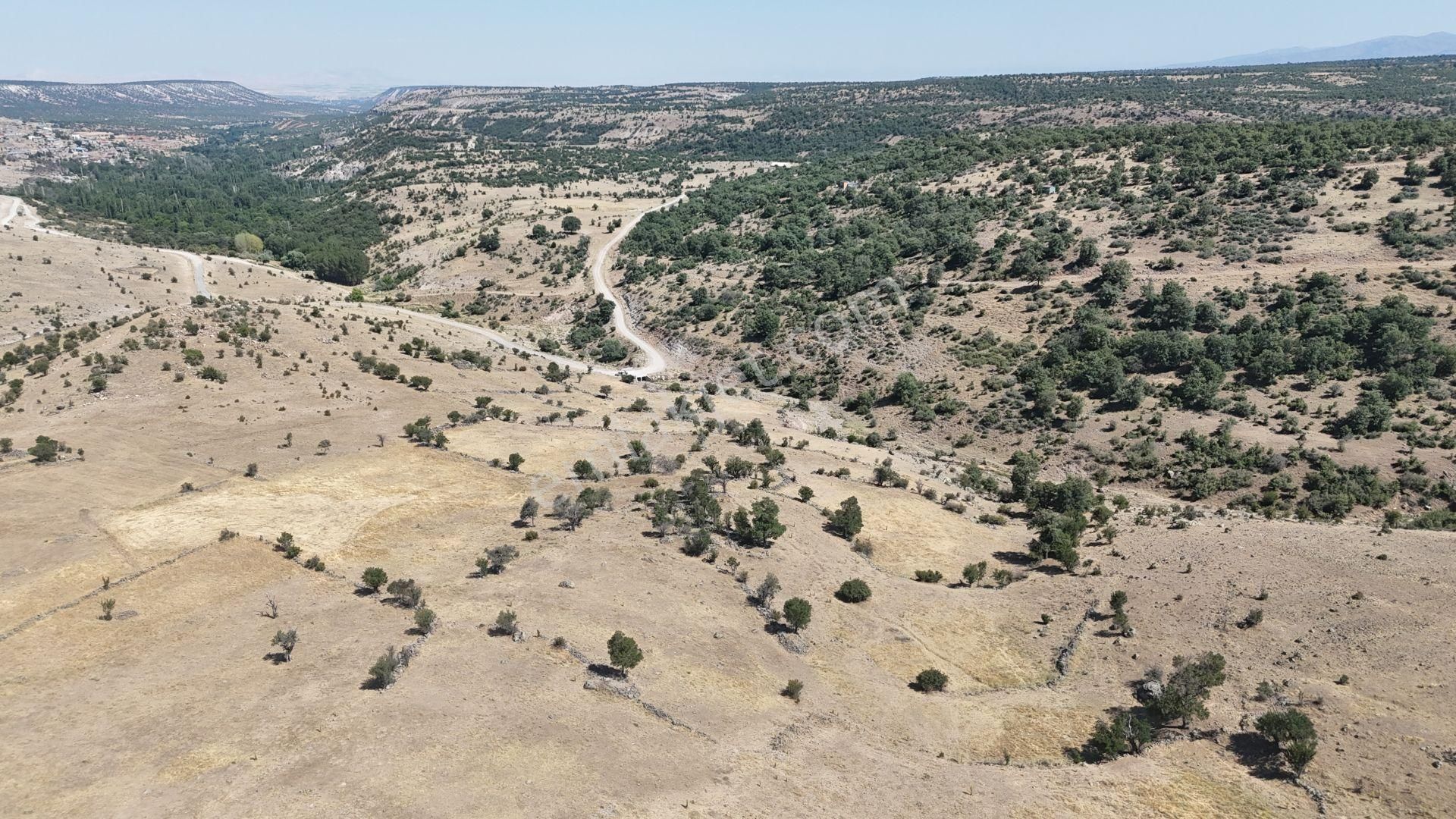 Konya / Meram / Kilistra Mahallesinde 640 M² Müstakil Tapulu Tarla - Görsel 3