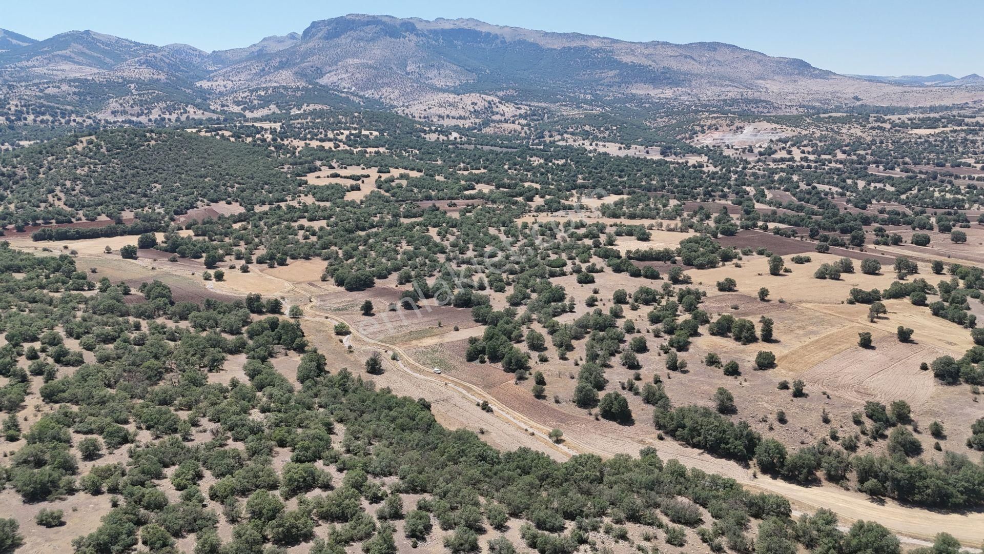 Meram Kilistra Da 3.308 M2 Müstakil Tapulu Arazi - Görsel 4