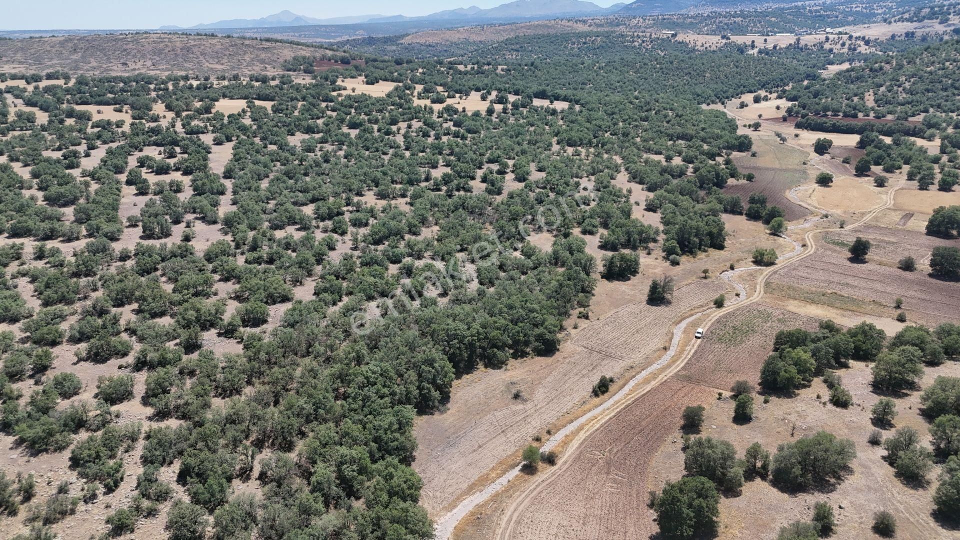 Meram Kilistra Da 3.308 M2 Müstakil Tapulu Arazi - Görsel 2