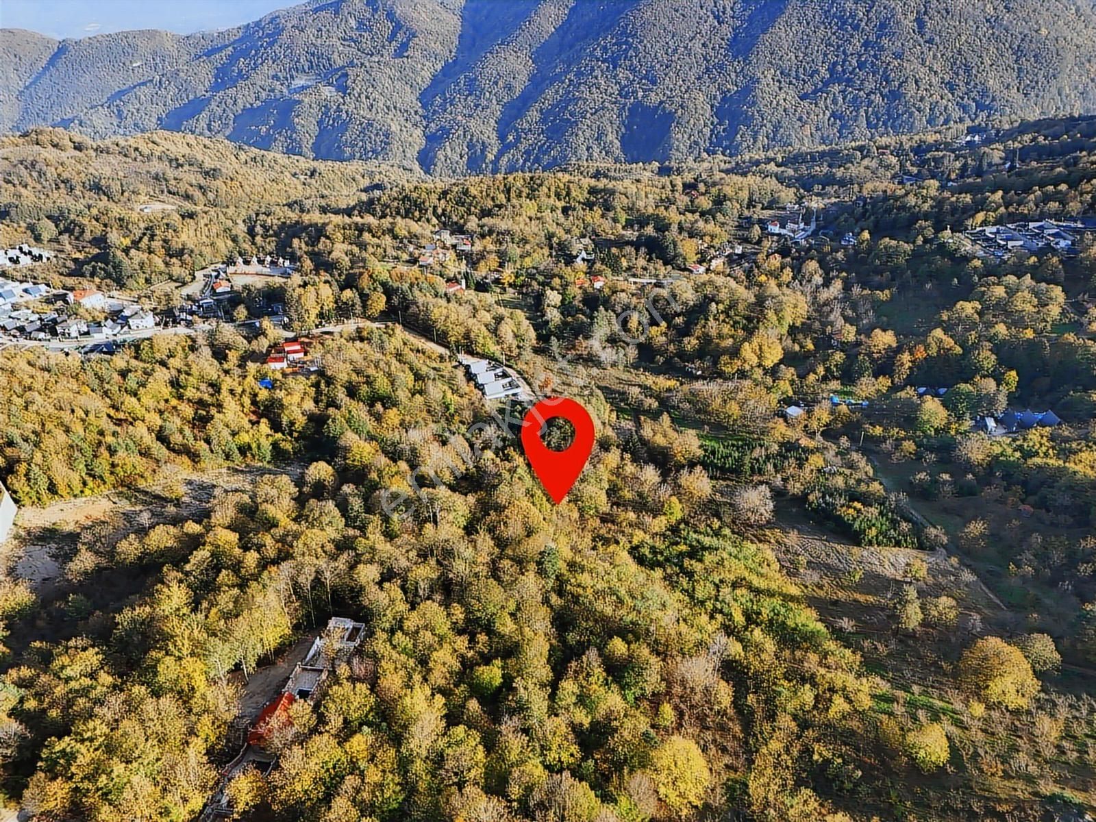 Sapanca Memnuniye Doğa İçinde 8.075 M² Fırsat Arazi | Tapu54 - Görsel 6