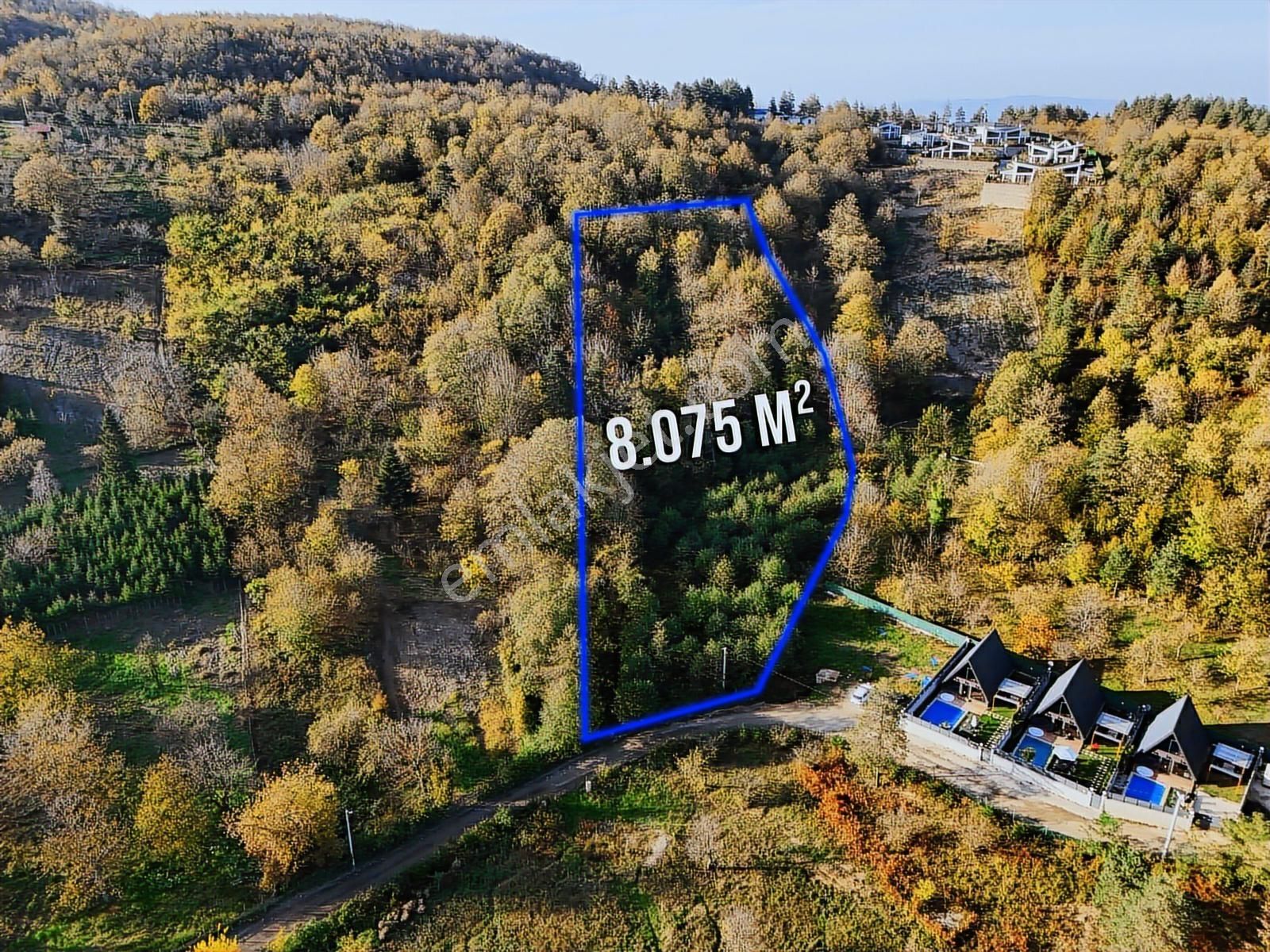 Sapanca Memnuniye Doğa İçinde 8.075 M² Fırsat Arazi | Tapu54