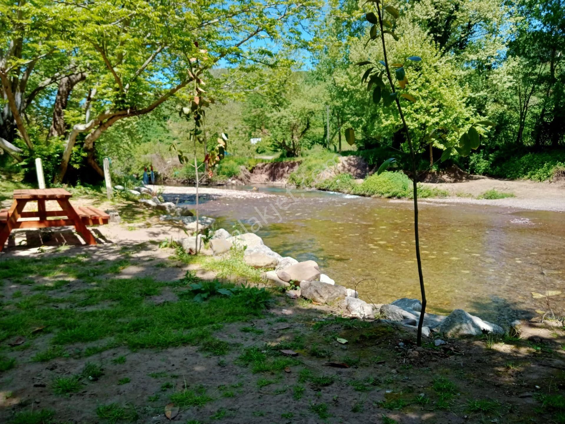 Hayallerinizi Gercekleştirmek İçin Bugün Bir Adım Atın - Görsel 24