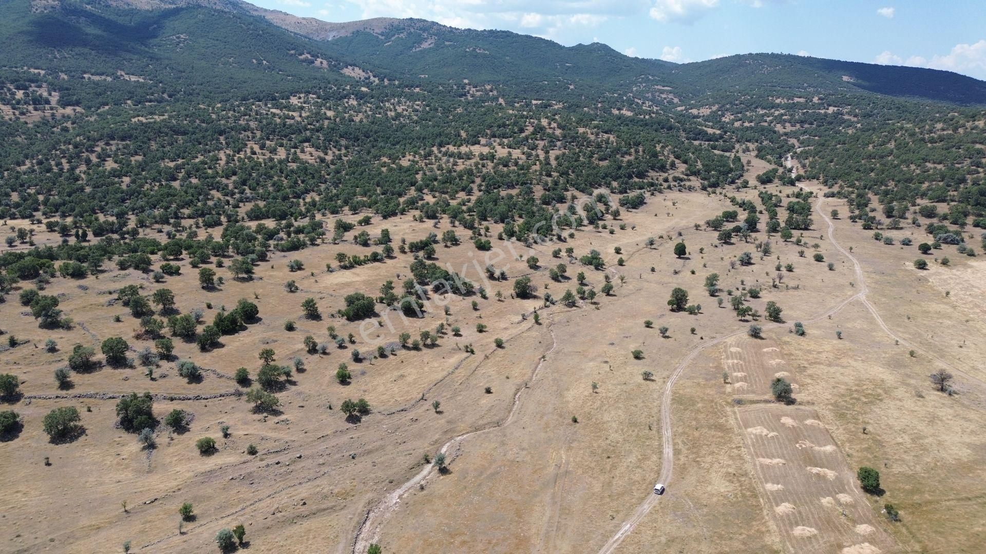 Meram İnlice De 2.400 M2 Müstakil Tapulu Arazi - Görsel 3