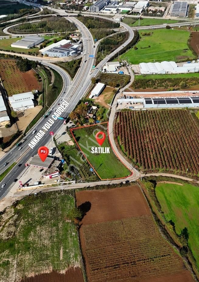 Kelepır!! Bursa-eskişehir Yoluna Cephe 4.903,58 M² Tarla - Görsel 4