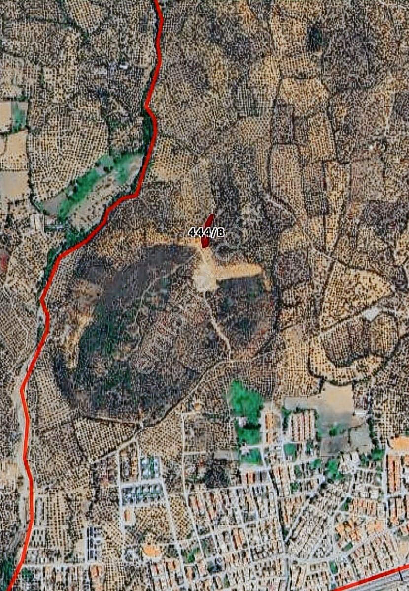 Kızılkeçili Köyünde Etrafı Telle Çevrili Köşe Parsel Zeytinlik - Görsel 25