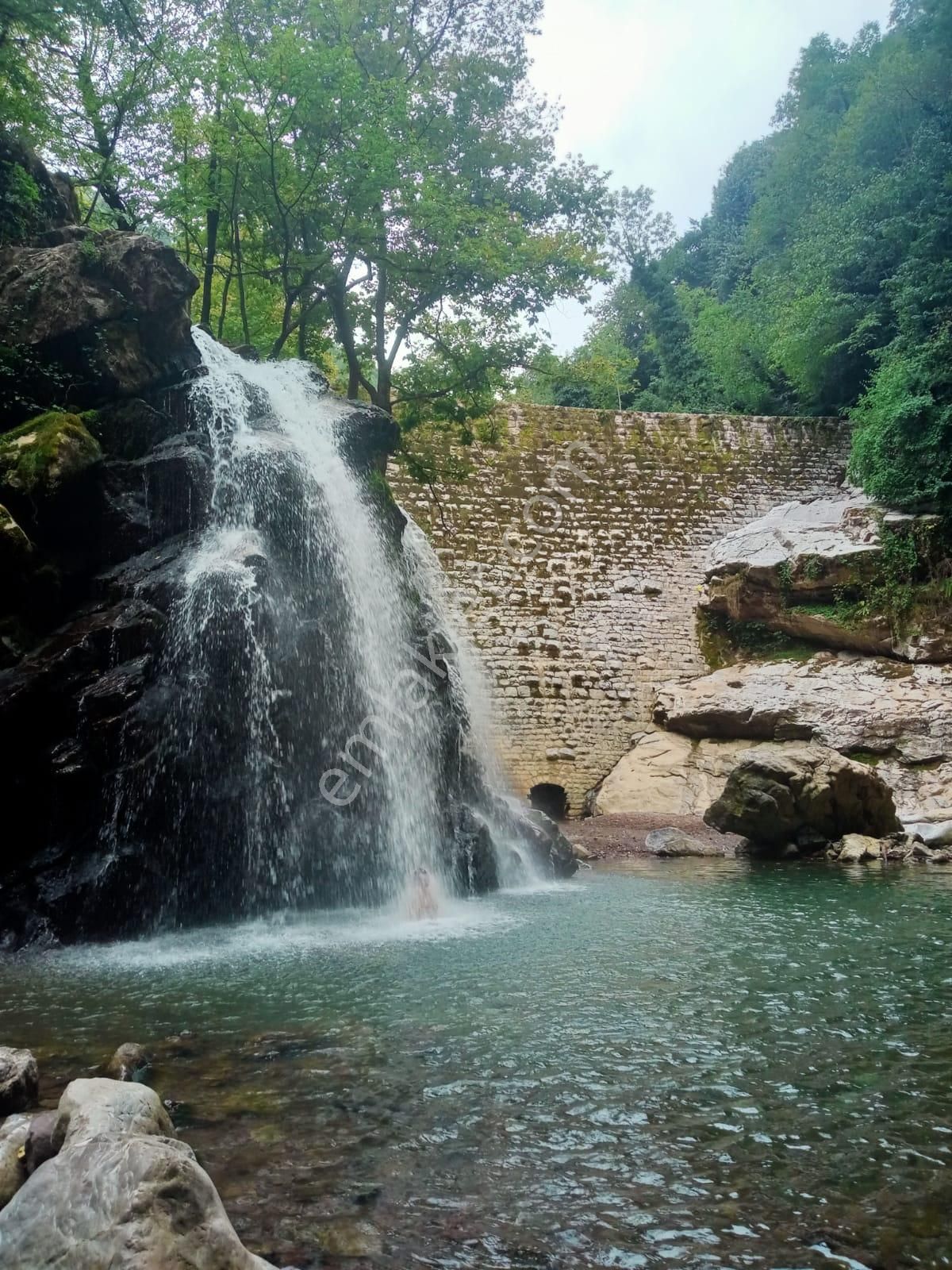 Küçük Bir Adım Bile Büyük Degişiklikler Yaratabilir - Görsel 22