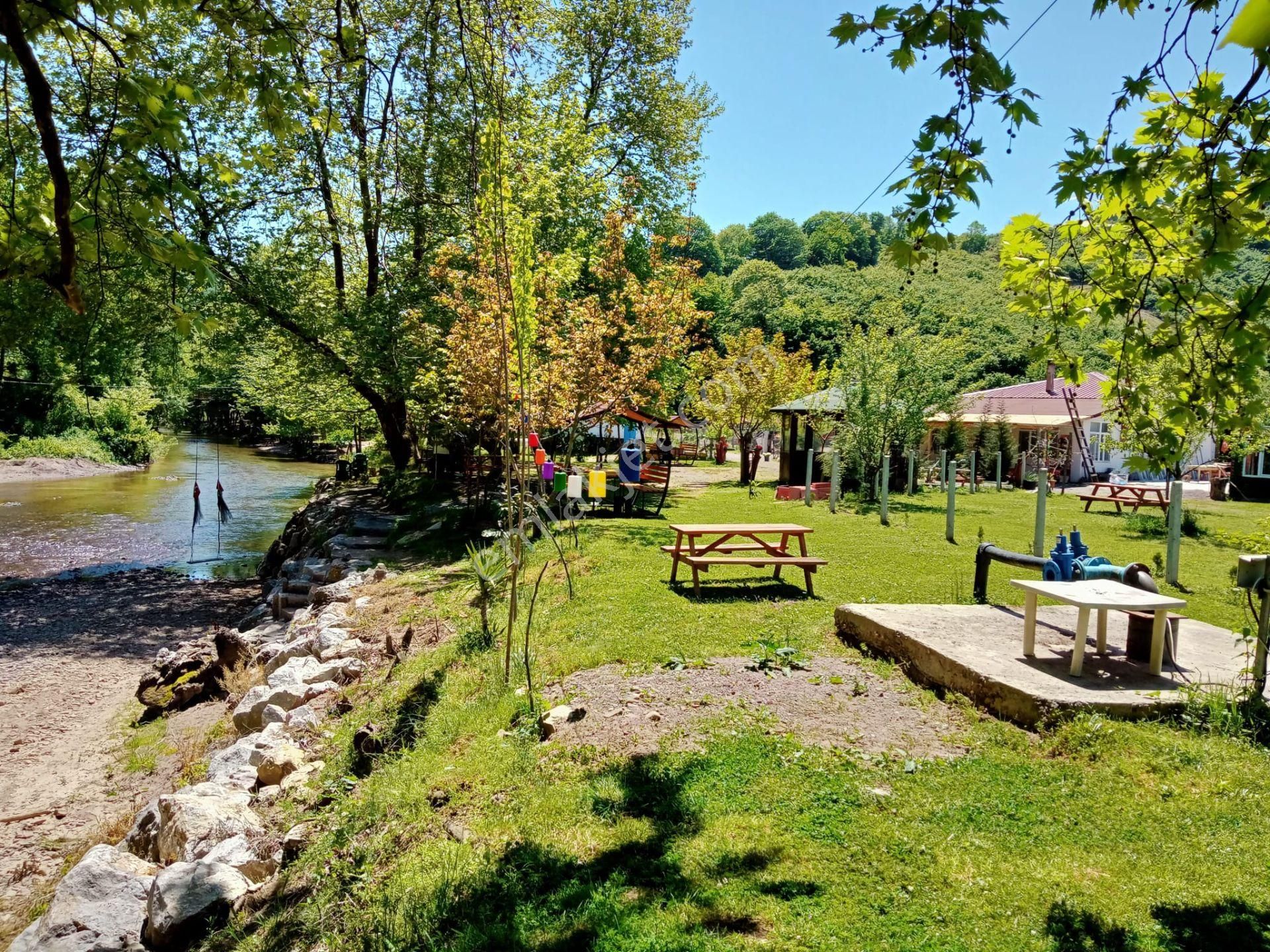 Küçük Bir Adım Bile Büyük Degişiklikler Yaratabilir - Görsel 28