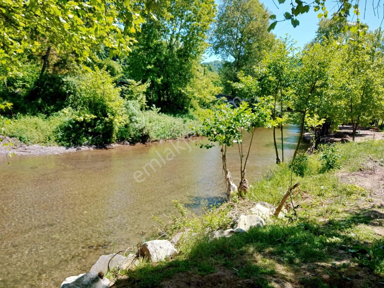 Küçük Bir Adım Bile Büyük Degişiklikler Yaratabilir - Görsel 24