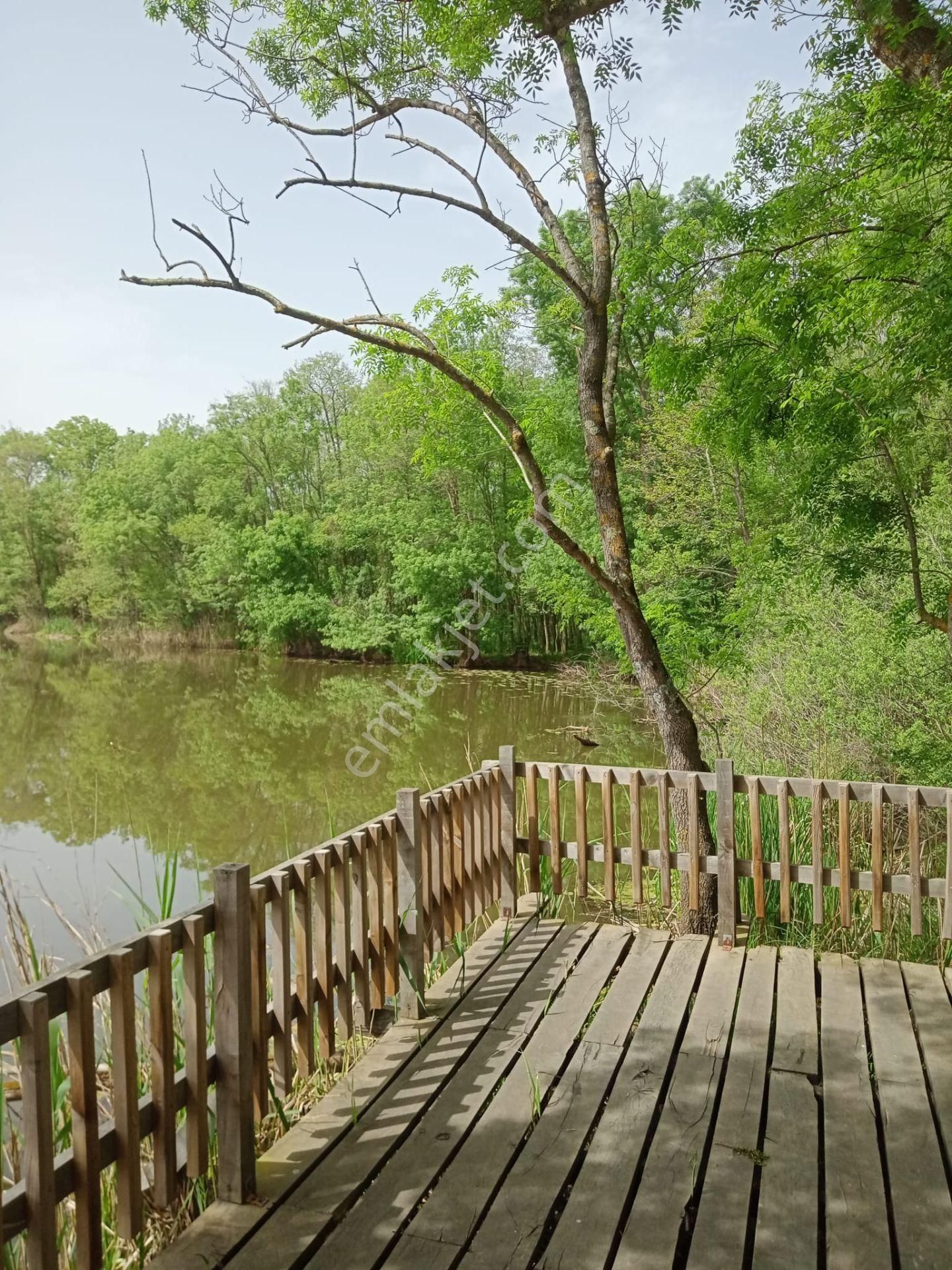 Küçük Bir Adım Bile Büyük Degişiklikler Yaratabilir - Görsel 35