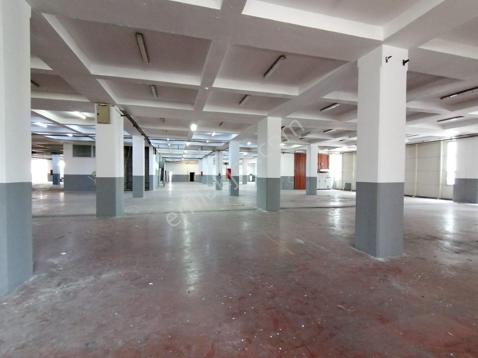 Tuzla İtosb Osb'de 4000 M2+100 Kwa Enerjili Kiralık Fabrika - Görsel 9